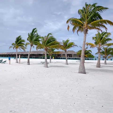 Breiter weißer Sandstrand mit Palmen, Liegen und Wasservillen im Hintergrund