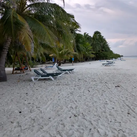 Ruhiger Strand mit Palmen und Liegen in der Abenddämmerung