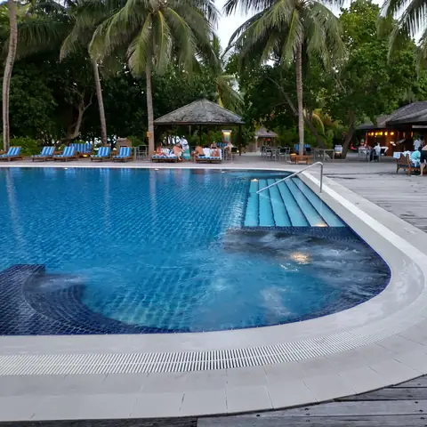 Blauer Pool mit geschwungenem Beckenrand, Holzdeck und Palmen