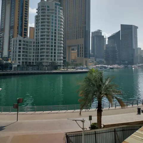 Türkisfarbenes Wasser der Dubai Marina mit Yachten, einer Palme und Hochhäusern am gegenüberliegenden Ufer