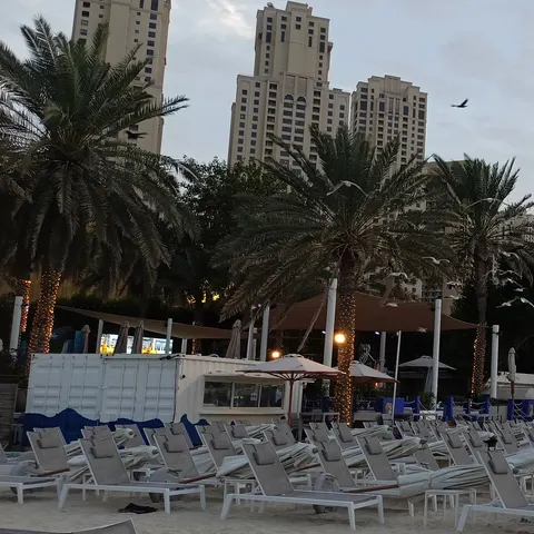 Reihen von Strandliegen und geschlossenen Sonnenschirmen bei The Beach mit beleuchteten Palmen und fliegenden Möwen am frühen Abend