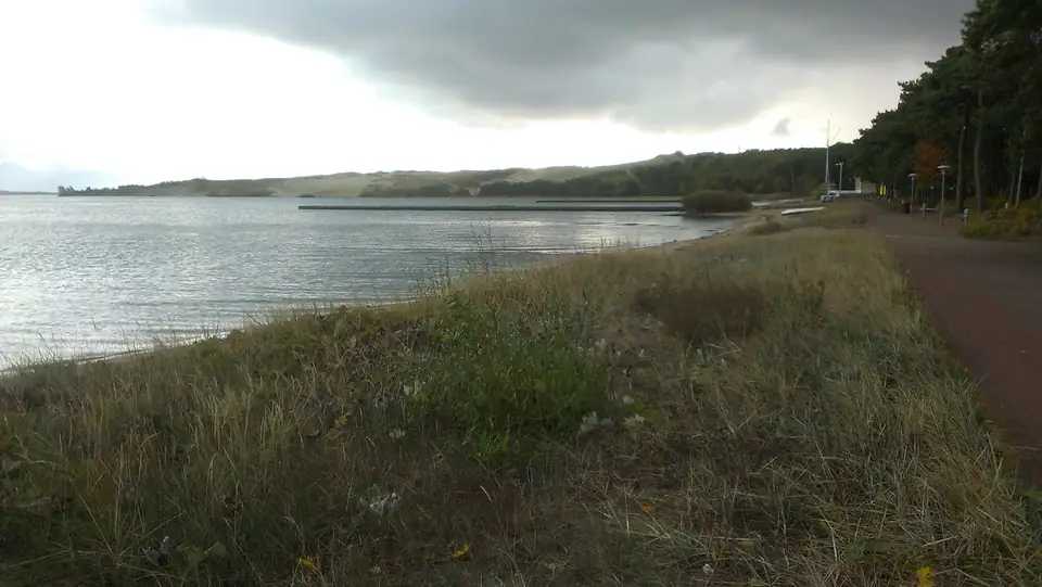 Ufer des Kurischen Haffs mit Schilf und einer Sanddüne unter dunklen Wolken