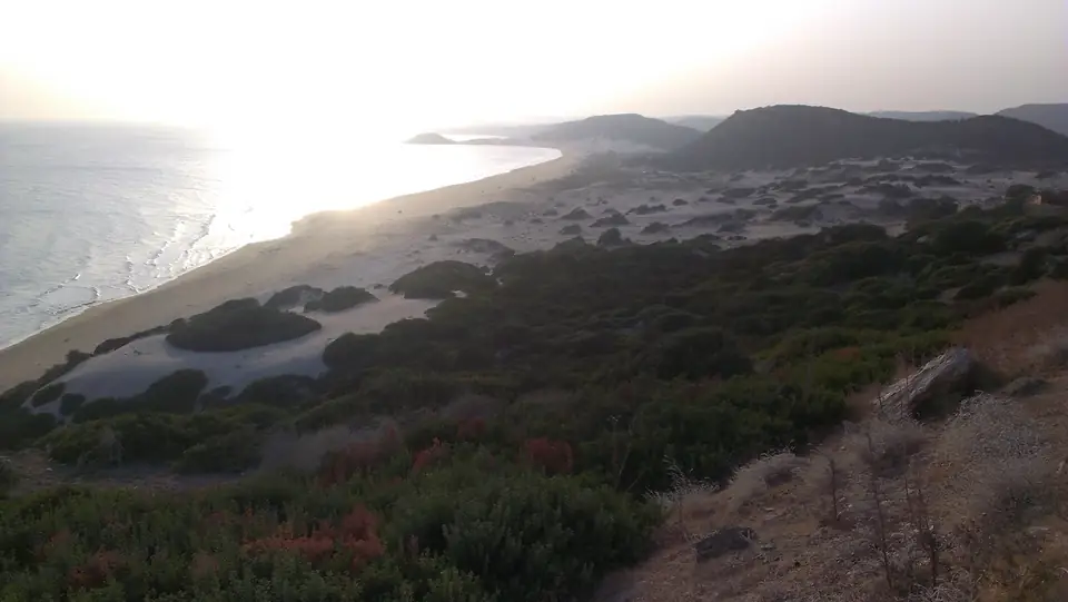 Lange Sandbucht mit Dünen und niedrigen Sträuchern im Licht der tief stehenden Sonne