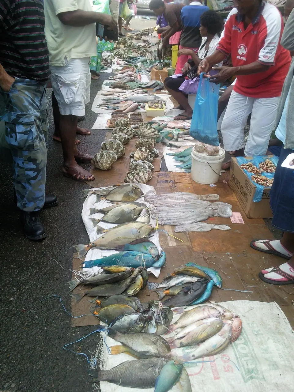 Fischhändler und Kundschaft neben auf Planen und Kartons ausgelegten Fischen, Muscheln und Oktopussen