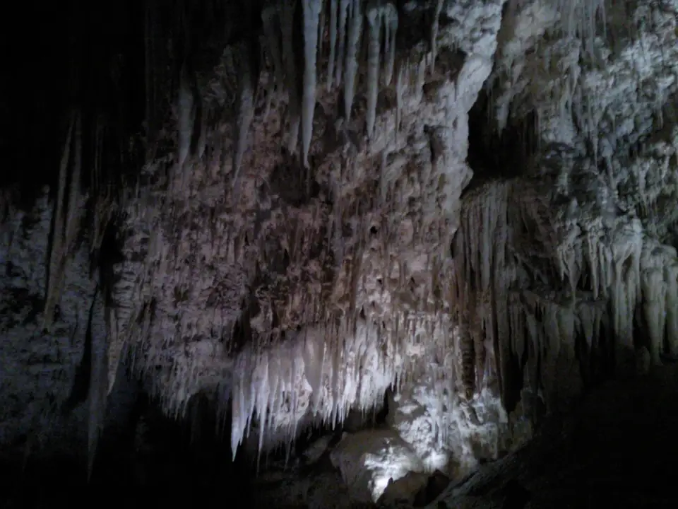 Dicht mit Stalaktiten besetzte Wand einer beleuchteten Tropfsteinhöhle im Waitomo-Gebiet