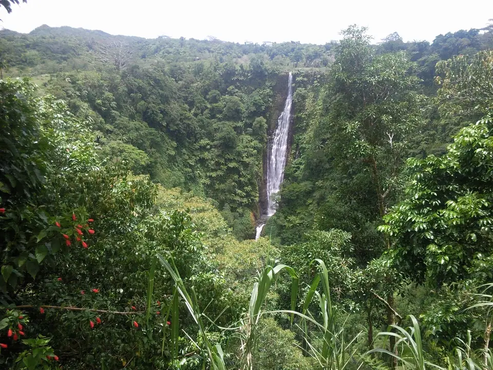 Langer schmaler Wasserfall an einer dicht bewachsenen Felswand auf der gegenüberliegenden Seite einer Schlucht